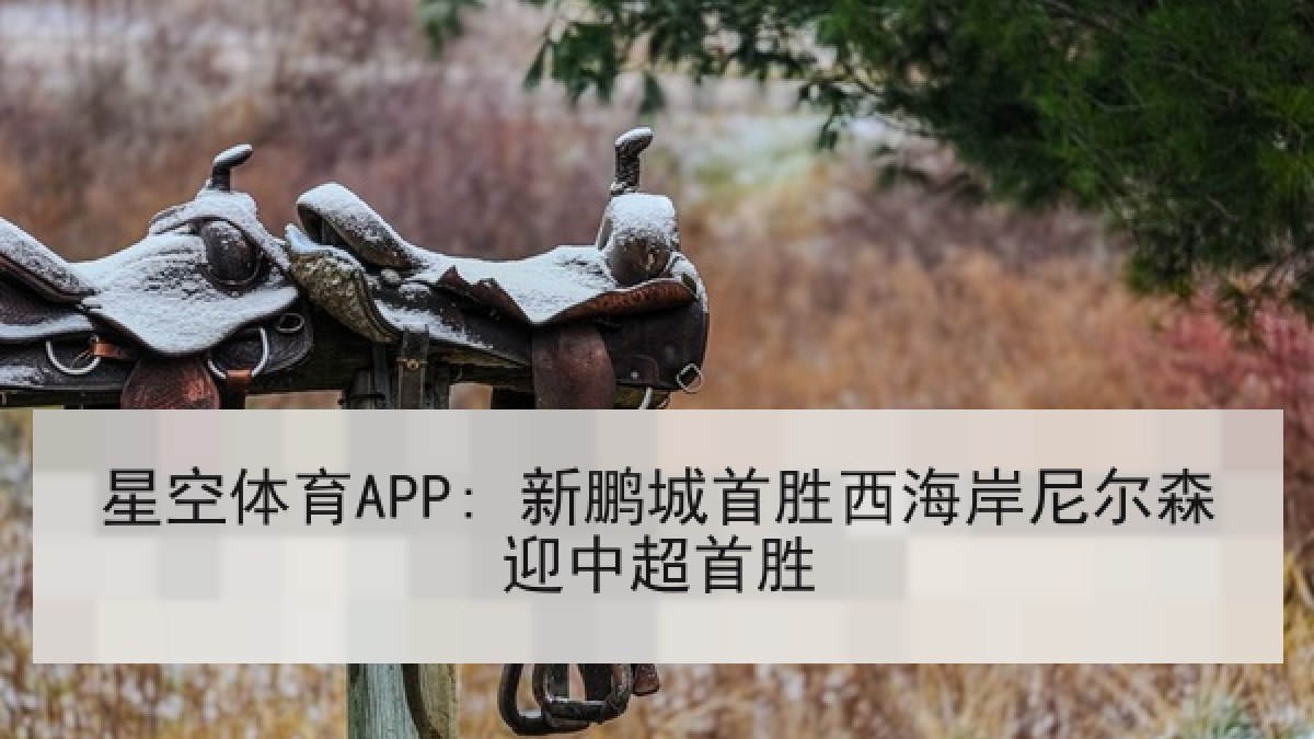 星空体育APP: 新鹏城首胜西海岸尼尔森迎中超首胜 星空体育APP: 新鹏城首胜西海岸尼尔森迎中超首胜