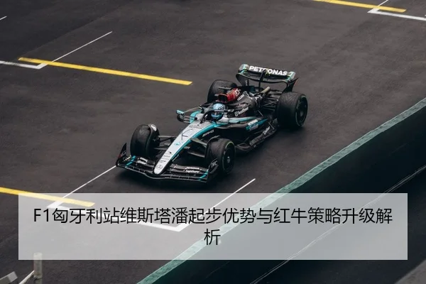 xiong-ya-li-zhan-wei-si-ta-pan-qi-bu-you-shi-yu-hong-niu-ce-lve-sheng-ji-jie-xi-3-451.jpg