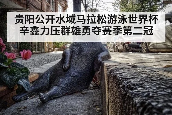 贵阳公开水域马拉松游泳世界杯辛鑫力压群雄勇夺赛季第二冠