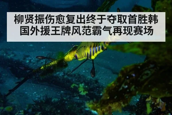 柳贤振伤愈复出终于夺取首胜韩国外援王牌风范霸气再现赛场