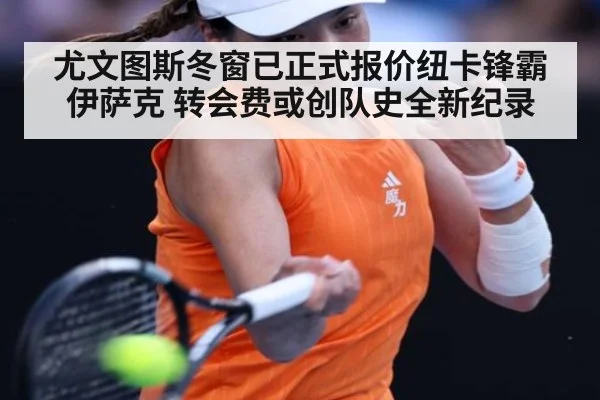 尤文图斯冬窗已正式报价纽卡锋霸伊萨克 转会费或创队史全新纪录