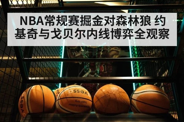 professional basketball game